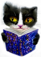 Reading cat